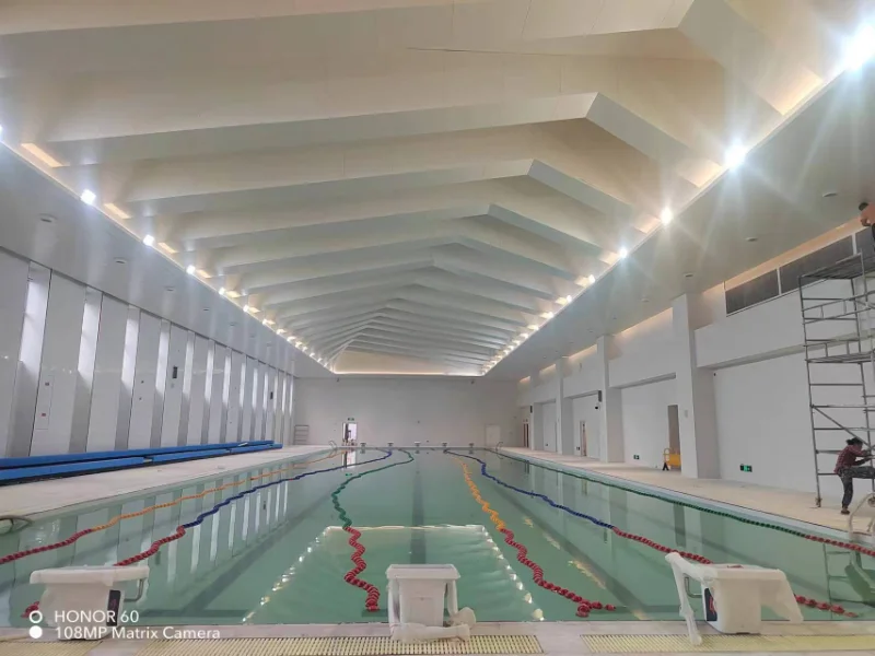 Guangdong'daki Sabit Sıcaklık ve Nem Makine Üreticilerinin Güç Sıralaması: Mühendislik Senaryoları için Uyarlama Performansına Odaklanma